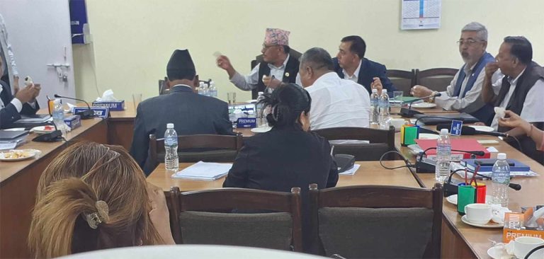 अब समितिलाई ब्याक गर्ने सम्भावना छैन, बरू विधेयक फिर्ता लिनुस् : सभापति थापा