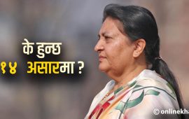 एमालेमा १४ असारको चर्चा, विद्या भण्डारीमाथि नजर