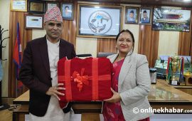 वीरेन्द्रनगरको बजेट ४ अर्ब ३८ करोड, प्राथमिकतामा सुशासन र पूर्वाधार