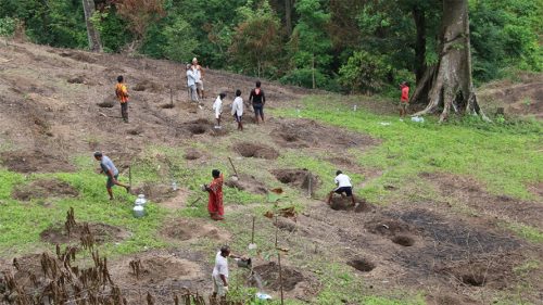 चुरे क्षेत्रको विनाश रोक्‍न मधेसमा ८६ लाख वृक्षरोपण गरिने