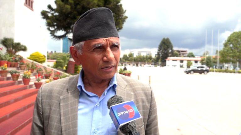 पूर्व राष्ट्रपतिलाई राजनीतिमा आउन संविधानले रोकेको छैनः प्रमुख सचेतक पाण्डे