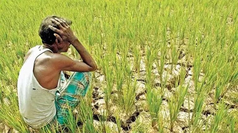 जलवायु परिवर्तनले भारतीय किसानमा आत्महत्या  गर्ने जोखिम बढ्यो
