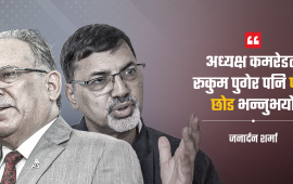 जनार्दनले विधि सम्झाउँदा प्रचण्डले भनिदिए- पार्टी नै छोड्नुस्