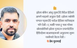 एउटा झोलेको अनुभूति
