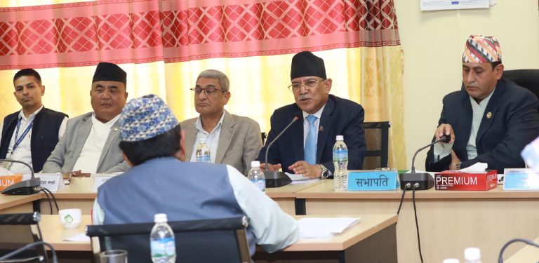 नेता नै स्वीकार्छन्- प्रहरीलाई स्वतन्त्र अनुसन्धान गर्न दिइएको छैन