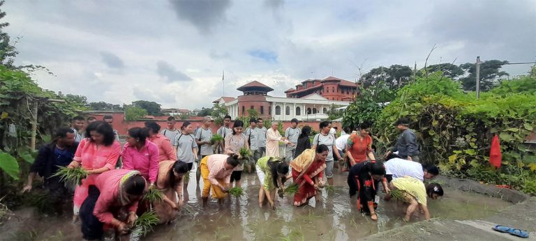 राष्ट्रपति पौडेल पनि रोपाइँमा सहभागी