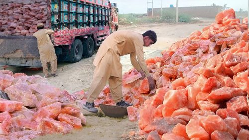 भारत–पाकिस्तान द्वन्द्वले सिधे नुन आपूर्ति प्रभावित, बढ्दै मूल्य