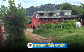 झ्याल, ढोका र ताला फोरेर विश्वविद्यालयको क्वार्टर कब्जा गर्छन् प्राध्यापकहरू