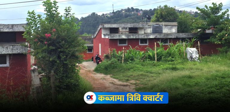 झ्याल, ढोका र ताला फोरेर विश्वविद्यालयको क्वार्टर कब्जा गर्छन् प्राध्यापकहरू