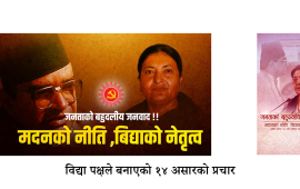 विद्या भण्डारीलाई रोक्न एमाले बैठकमै प्रस्ताव