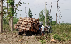 दोधारा-चाँदनी सुक्खा बन्दरगाहको भौतिक प्रगति ४ प्रतिशत   
