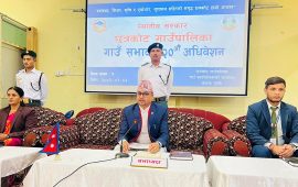 छत्रकोटले ५० वर्ष पुगेका एकल महिला र पुरुषलाई जीवन निर्वाह भत्ता दिने