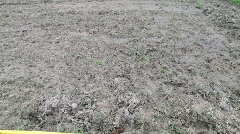 मोरङमा ५ वर्षीया बालिकाको हत्या, अनुसन्धानका लागि एक जना पक्राउ