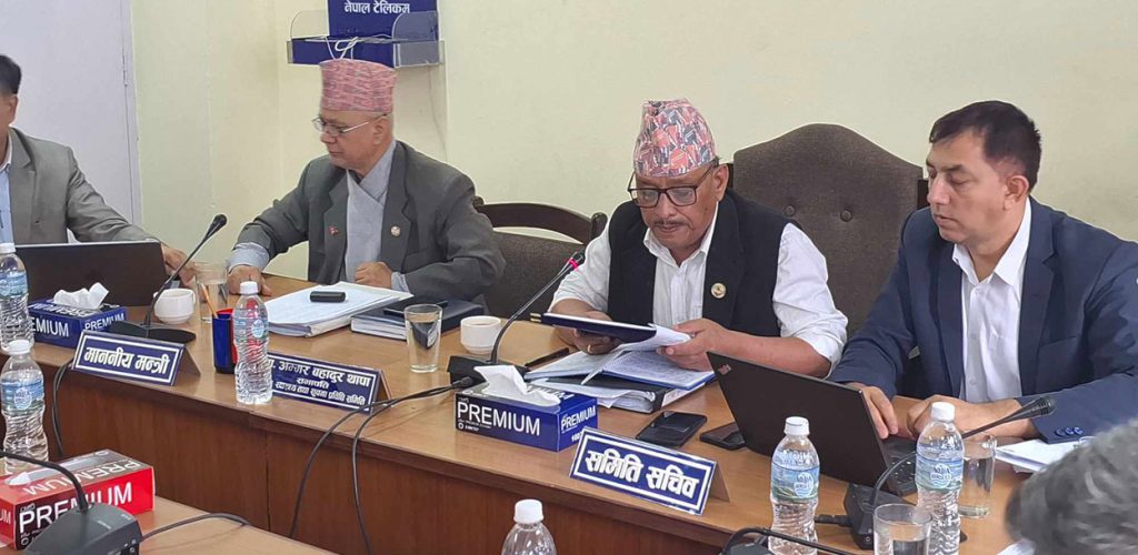 शिक्षा विधेयकमाथि छलफल : निजी विद्यालय गुठीमा जान चाहे छुट दिने प्रस्ताव