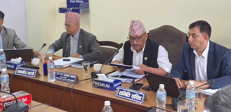 शिक्षा विधेयकमाथि छलफल : निजी विद्यालय गुठीमा जान चाहे छुट दिने प्रस्ताव