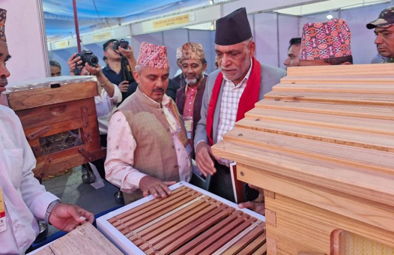 भृकुटीमण्डपमा मह मेला सुरु