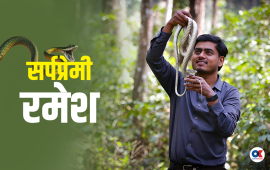 २९ वर्षको उमेरमै १५०० सर्पको उद्धार