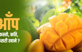 कुन आँप सबैभन्दा मिठो ? कसरी रोज्ने ?