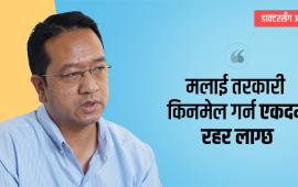 ‘३० वर्ष भयो फिल्म नहेरेको’ : डा. शेरबहादुर पुन