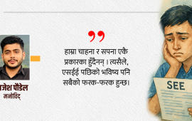नतिजा मात्र जिन्दगी होइन