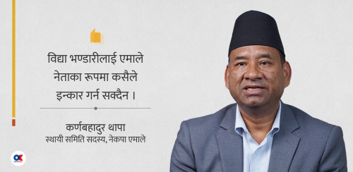 ‘चीनले विद्या भण्डारीलाई नेपालको विशिष्ट राजनीतिज्ञ मान्यो’
