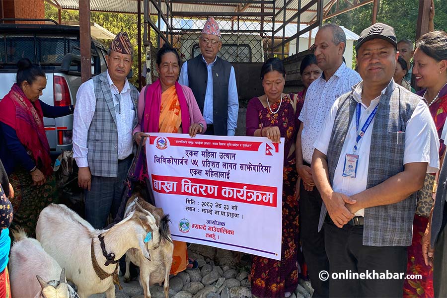 म्याग्देका एकल महिलालाई बाख्रा वितरण