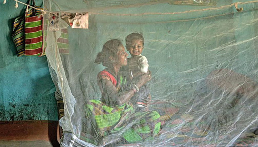 देशभर फैलिँदै डेंगु संक्रमण, अबका चार महिना अति जोखिमपूर्ण