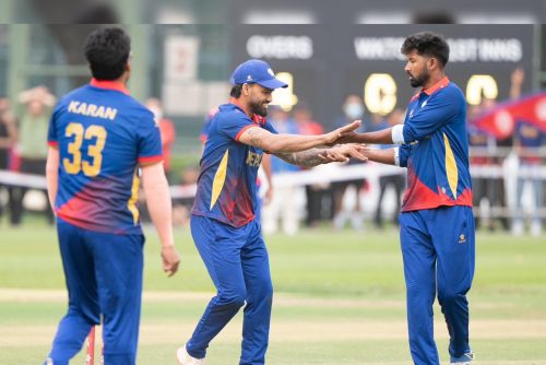 डेब्यूमै नन्दनको शानदार प्रदर्शन