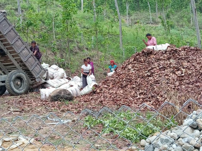 अर्घाखाँचीमा वनका पातपतिङ्गर संकलन गरेर मल उत्पादन, डढेलो नियन्त्रणमा सहयोग