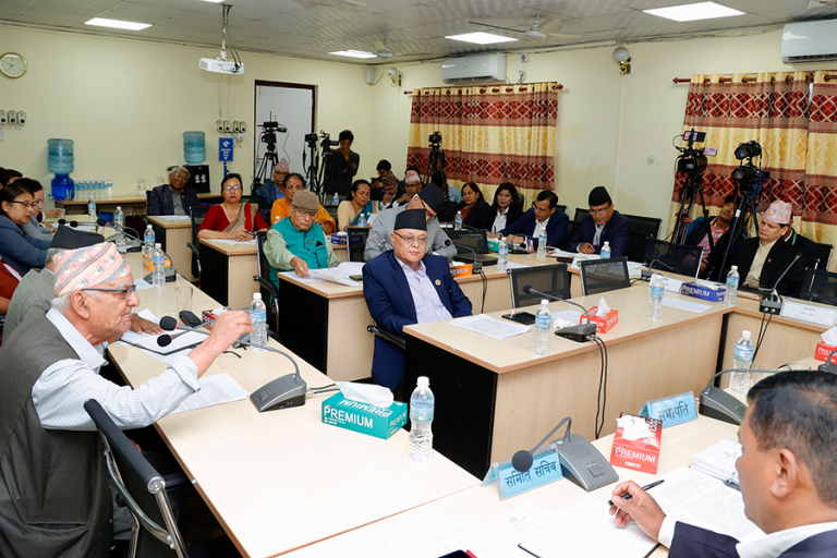 एनआरएनलाई नागरिकता दिने विषयमा संसदीय समितिले माग्यो सरकारको धारणा