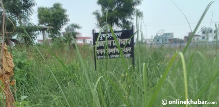 स्थानीयले जोगाएको सार्वजनिक जग्गा उपमहानगरबाट दलनिकट संस्थालाई वितरण
