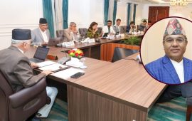 भिजिट भिसा प्रकरण : छानबिन संरचना र नेतृत्वमाथि प्रश्न