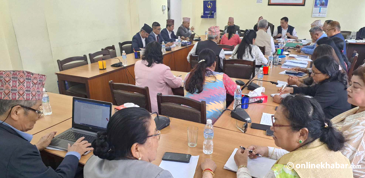 ईसीडीलाई विद्यालयको अंग नबनाउनेमा सरकार दृढ, निजीबारे दुई धार