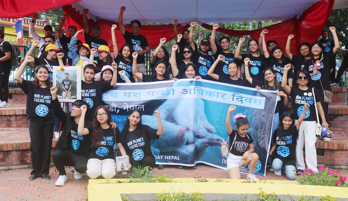 मान्छेबाट मारिएका पशुपंक्षीको सम्झनामा दीप प्रज्वलन