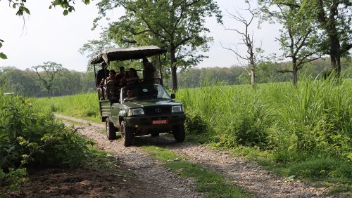 चितवन राष्ट्रिय निकुञ्ज घुम्ने पर्यटक घटे