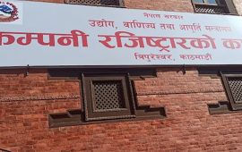 एक सातादेखि कम्पनी रजिस्ट्रारको सर्भर डाउन, हजारौं सेवाग्राही प्रभावित