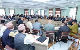 एमालेको विधान संशोधन प्रस्ताव पोलिटब्युरो बैठकबाट पारित