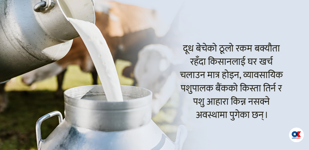 दूधको ४ अर्ब भुक्तानी दिन सरकारको निर्देशन, डेरी उद्योगी भन्छन्– पैसा छैन !