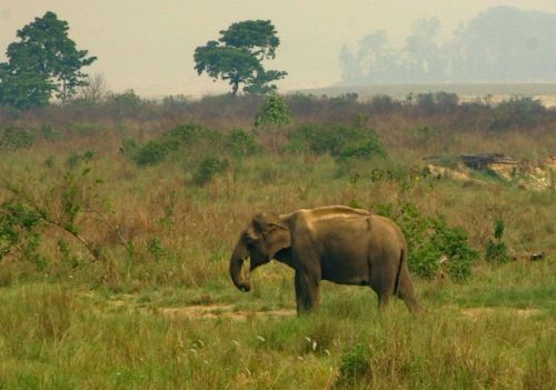 मुख्यमन्त्रीलाई हात्तीबाट पीडितले बुझाए ज्ञापन पत्र