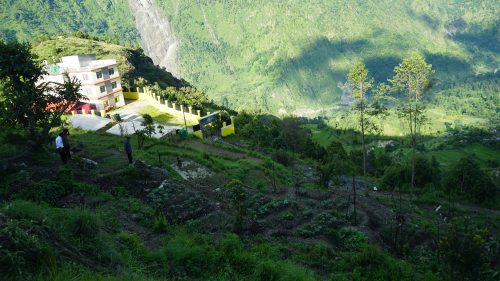 बाँझिएको पाखोबारीको झाडी फाँडेर विद्यार्थीले सुरु गरे तरकारी खेती