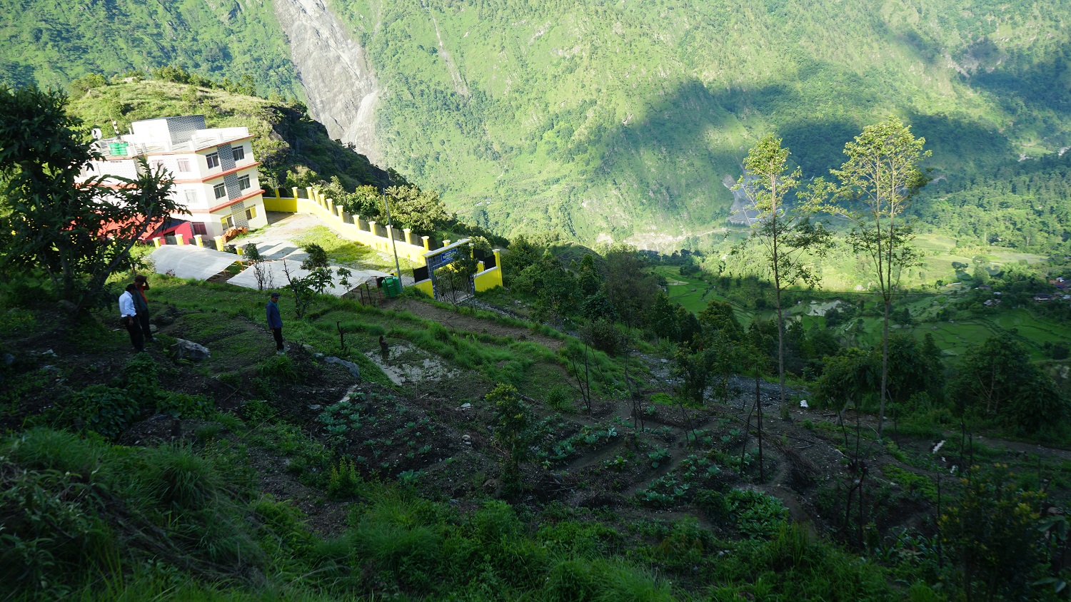 बाँझिएको पाखोबारीको झाडी फाँडेर विद्यार्थीले सुरु गरे तरकारी खेती
