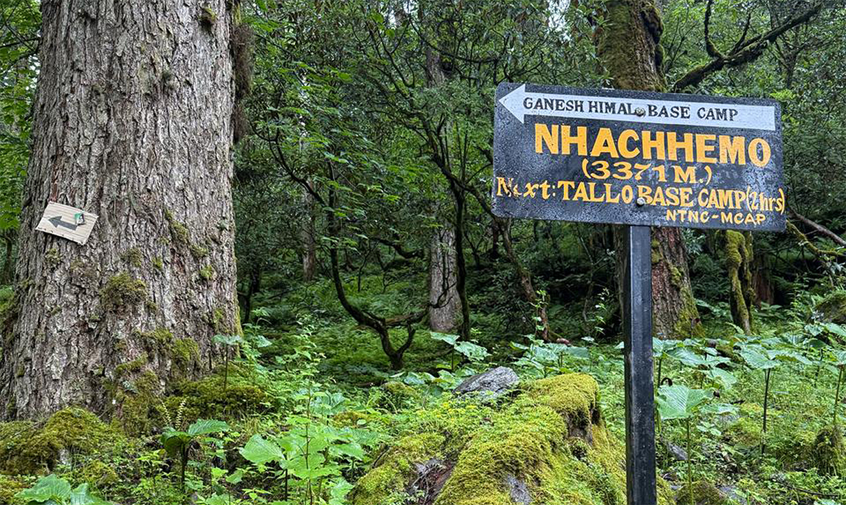 मनास्लु पदमार्गमा आवातजावत खुला   