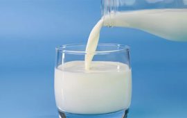 बालबालिकालाई विद्यालयमा दैनिक एक गिलास दूध वितरण   