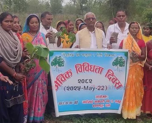 पर्सामा अतिक्रमणमा परेको जग्गा फिर्ता गरेर वृक्षारोपण
