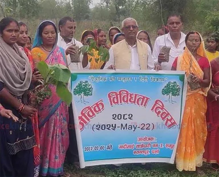 पर्सामा अतिक्रमणमा परेको जग्गा फिर्ता गरेर वृक्षारोपण