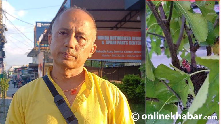 मनाङेको उम्मेदवारीविरुद्ध बोल्दा टिकट खोसियो, अनि बने हरियाली अभियन्ता
