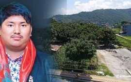 लिची बगैंचा हत्याउन गिरोह फेरिरहन्छन् सुजन, हकवालादेखि पैसावालासम्म करारनामा
