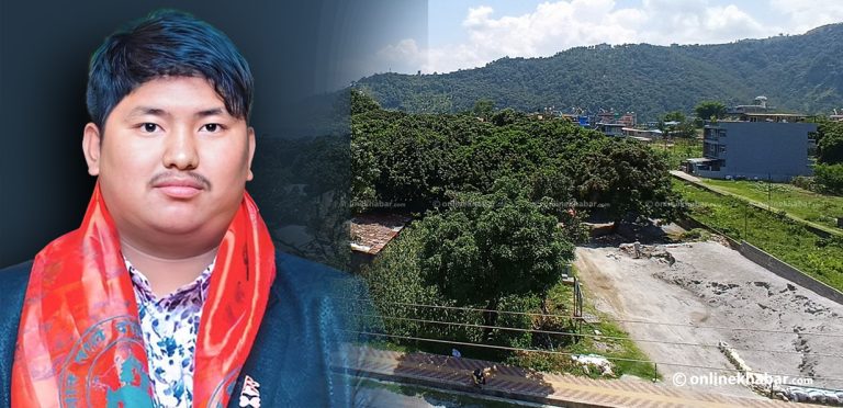 लिची बगैंचा हत्याउन गिरोह फेरिरहन्छन् सुजन, हकवालादेखि पैसावालासम्म करारनामा