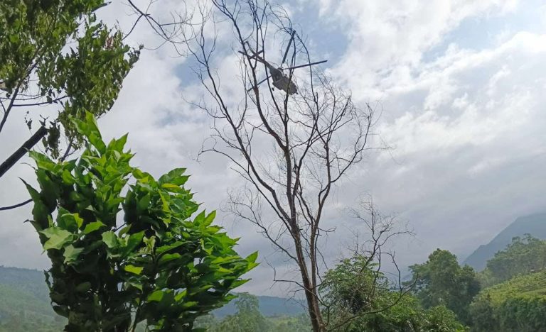 त्रिशूली नदीमा फसेका २ जनाको हेलिकप्टरबाट उद्धार (भिडियो)