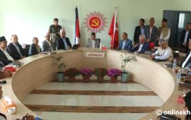 एमाले बैठकमा प्रस्ताव : वरिष्ठ उपाध्यक्ष नराख्ने, पदाधिकारी घटाउने